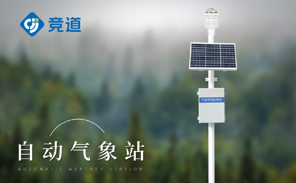 丛林主动景象形象站 丛林主动景象形象站