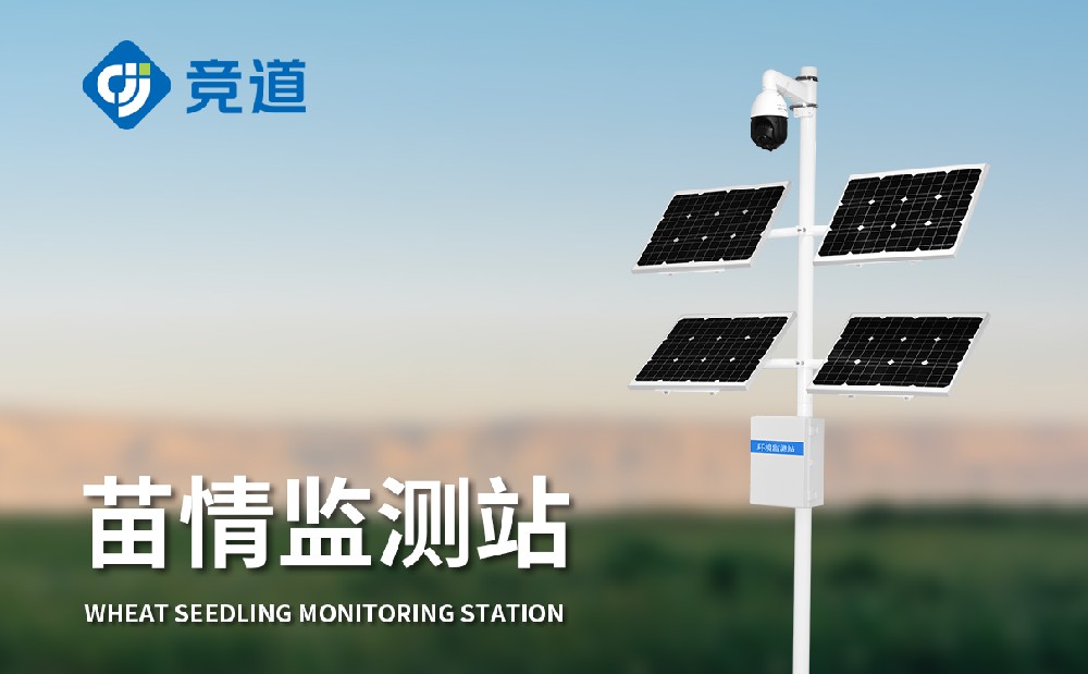 动物发展监测仪