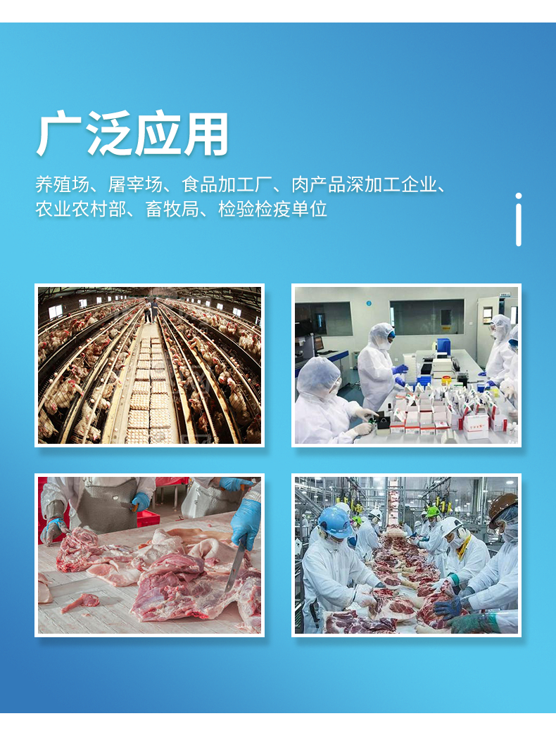 1619314906613550.png 图层 4.png