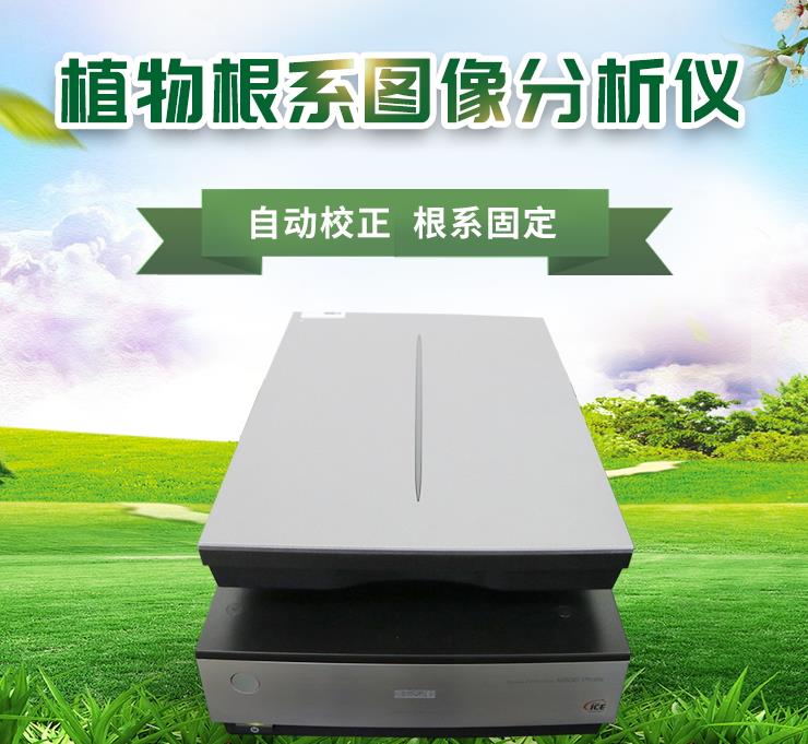 动物根系阐发体系 动物根系阐发体系